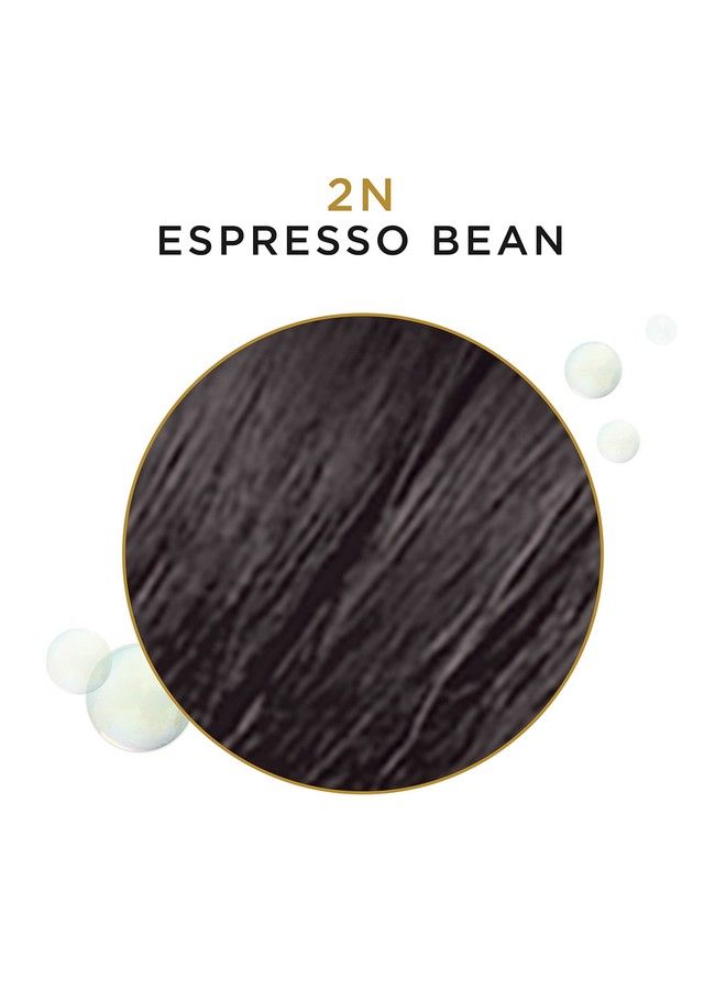 Beautiful Advanced Gray Solutions 2N Espresso Bean 3 Oz