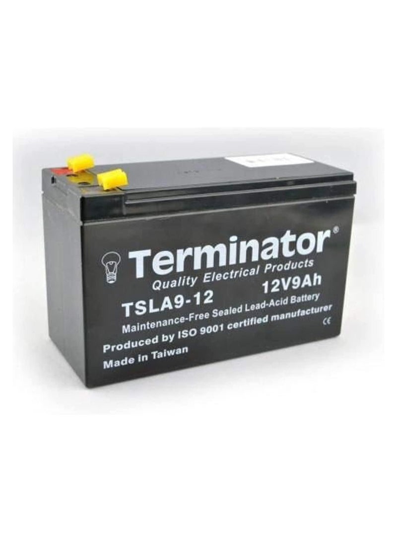 Terminator Maintenance free Sealed Lead Acid Battery TSLA9-12