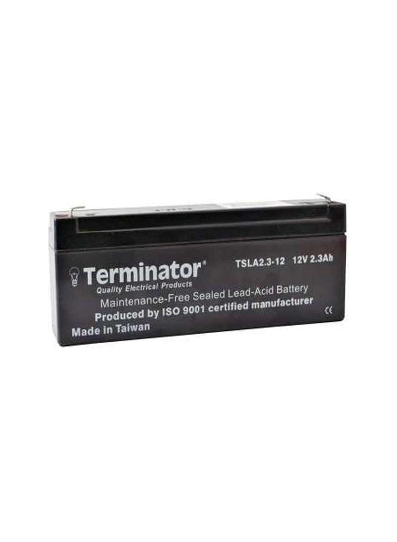 Terminator Battery For Camcorders - TSLA2.3-12