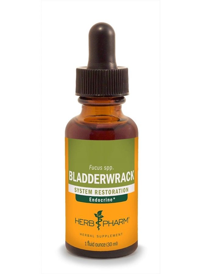 Bladderwrack Liquid Extract - 1 Ounce (DBLADD01)