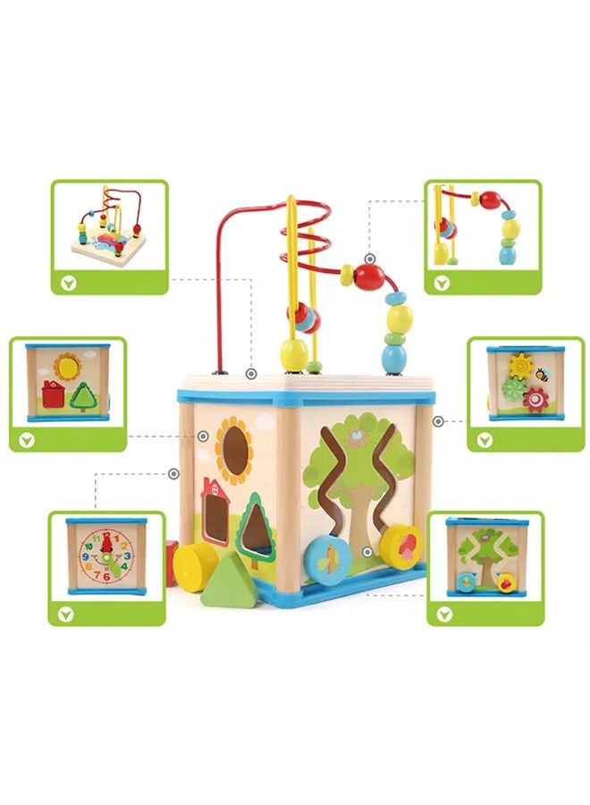 Educational 5 In 1 Wooden Garden Activity Cube For Baby