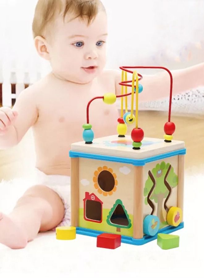 Educational 5 In 1 Wooden Garden Activity Cube For Baby