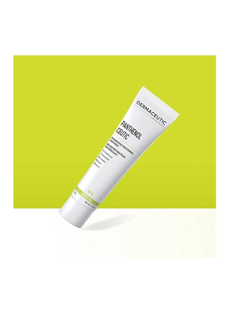 Dermaceutic Panthenol Ceutic - Nourishing Restoring Ointment with Panthenol, Shea Butter, Beeswax and Vitamin E - Immediate comfort for dry, sensitive and irritated skin - 30g