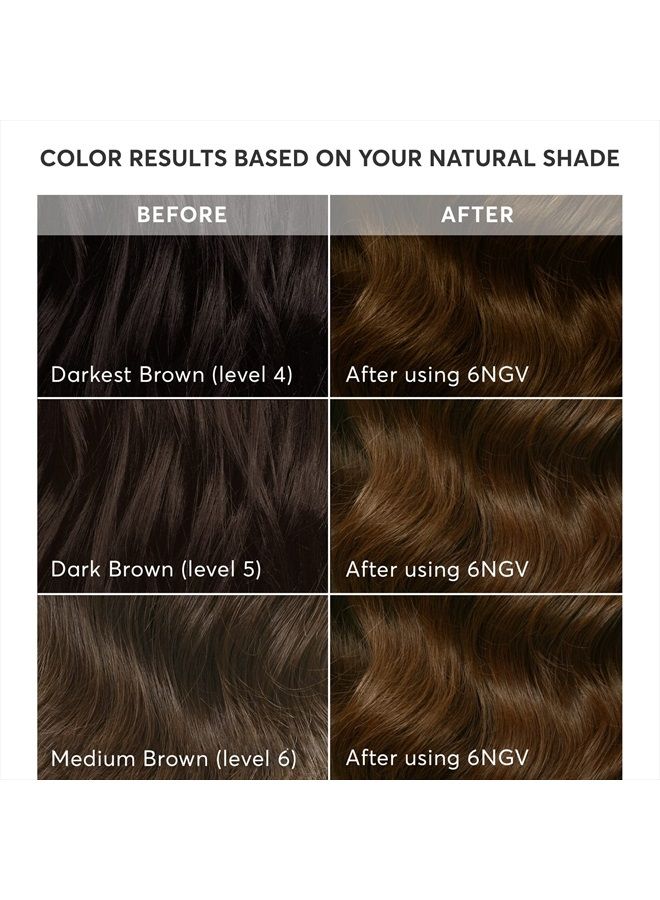 Radiant Hair Color Kit, Medium Golden Brown for 100% Gray Coverage, Ammonia-Free, 6NGV Tuscany Brown, Permanent Hair Dye, Pack of 1