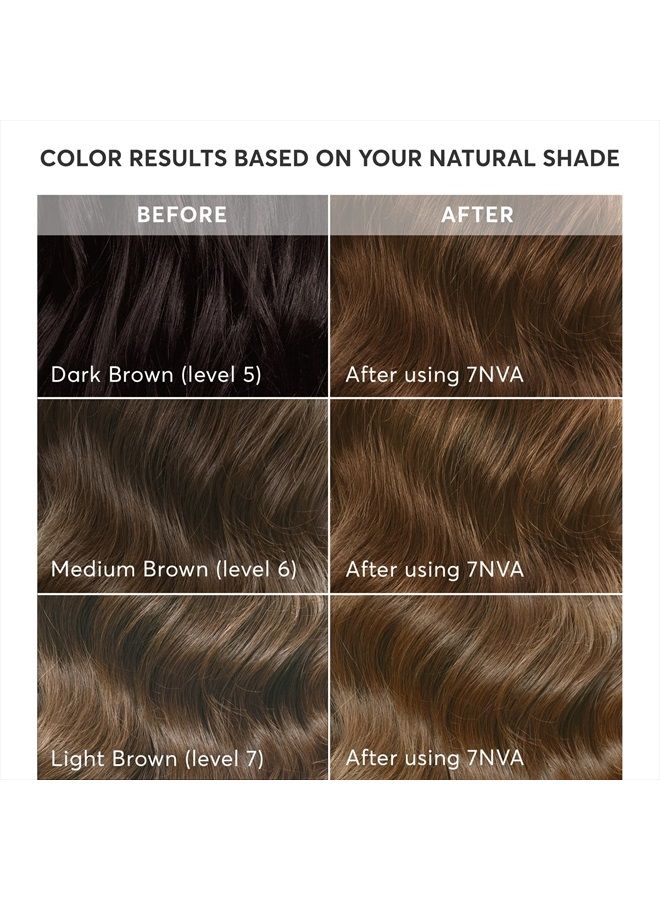 Radiant Hair Color Kit, Permanent Hair Dye, 100% Gray Coverage, Ammonia-Free, Veneto Light Brown 7NVA Light Smoky Brown, Pack of 1