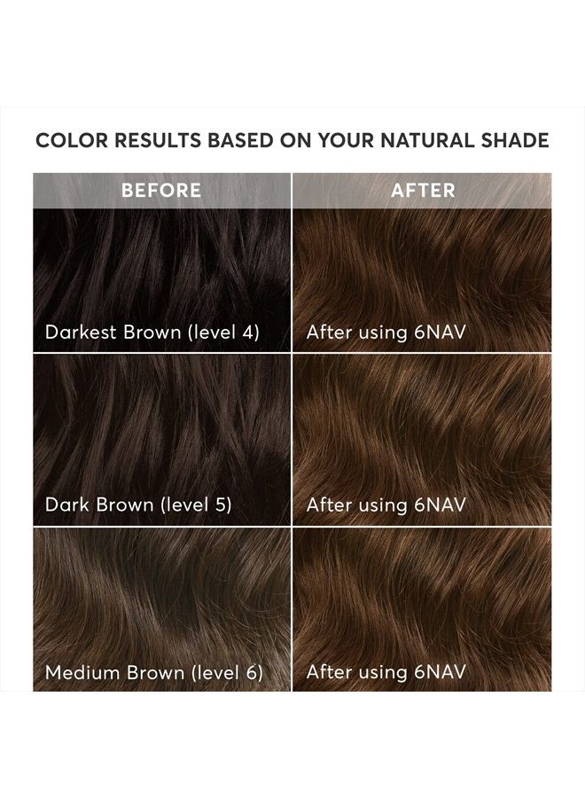 Radiant Hair Color Kit, Medium Smoky Brown for 100% Gray Coverage, Ammonia-Free, 6NAV Siena Brown, Permanent Hair Dye, Pack of 1