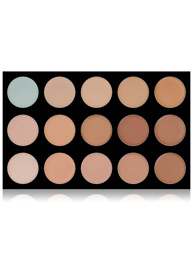 Masterpiece 15 Color Foundation, Concealer, Camouflage Palette/Refill - TONED