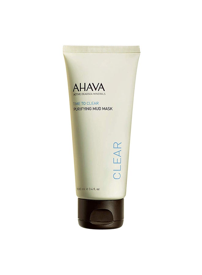 Purifying Dead Sea Mud Mask