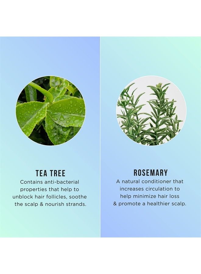 Invigorating TEA TREE OIL 5-in-1 Leave In Conditioner Spray for all hair types, color safe, gluten free, sulfate free, paraben free - 6 Fl Oz