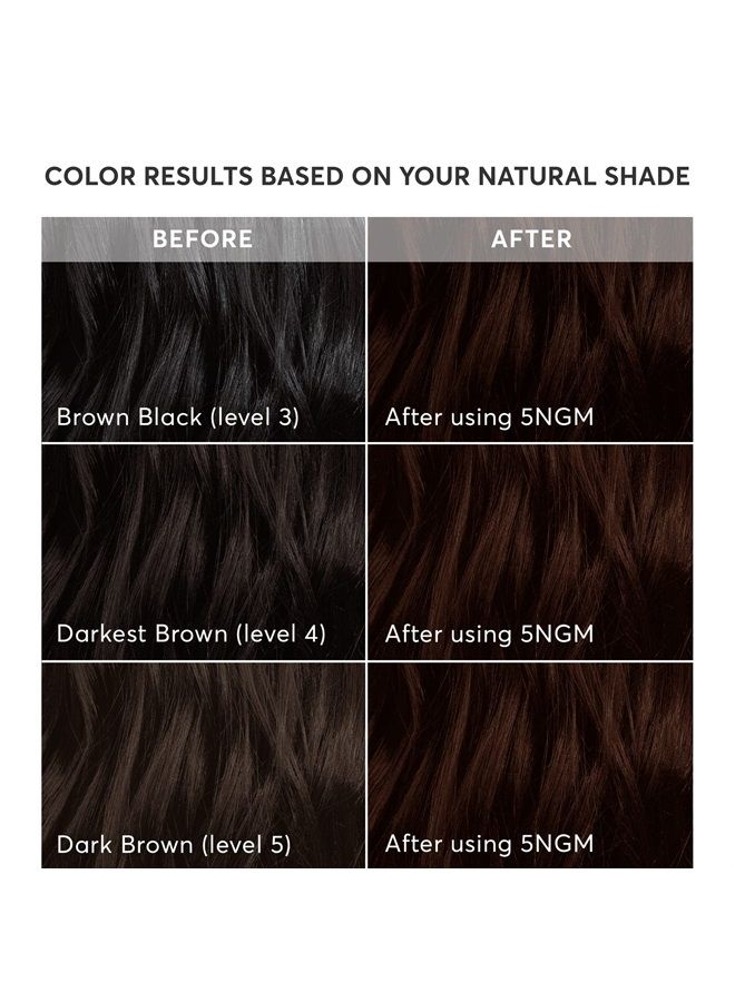 Radiant Hair Color Kit, Dark Cinnamon Brown for 100% Gray Coverage, Ammonia-Free, 5NGM Catania Brown, Permanent Hair Dye, Pack of 1