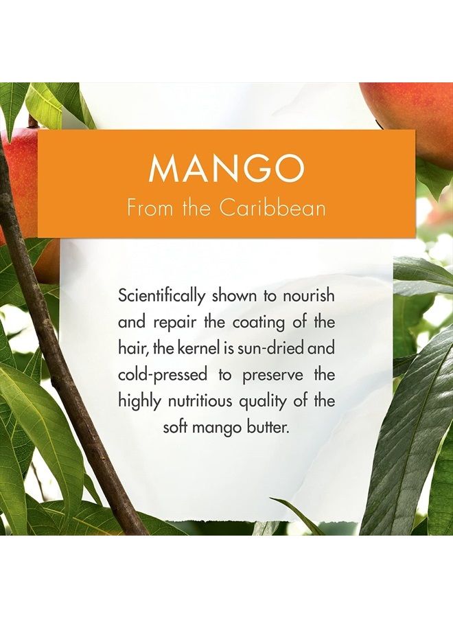 Nourishing Shampoo with Mango Butter, Moisturize and Hydrate Dry Hair, Paraben, Silicone, SLS Free, 13.5 Fl Oz