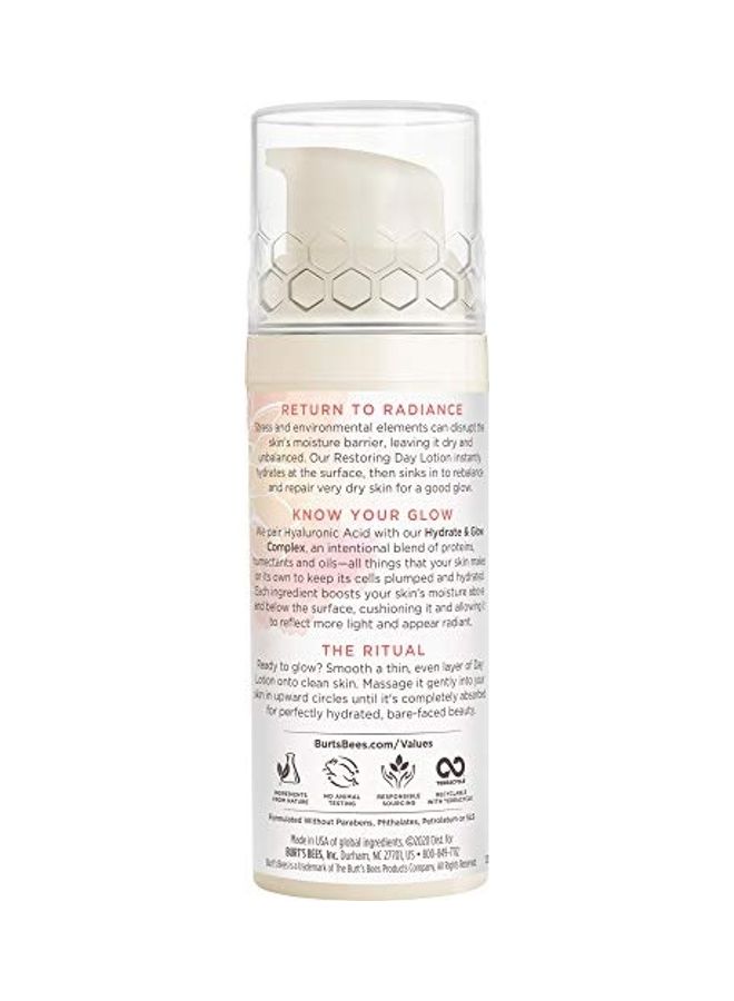Truly Glowing Day Lotion Face Cream with Naturally Derived Hyaluronic Acid White