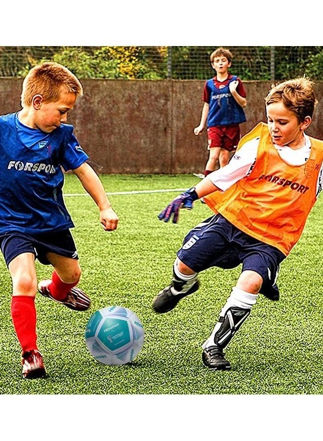 FIFA World Cup Qatar 2022 Football HISENSE_FIFA_FT_22 Multicolour