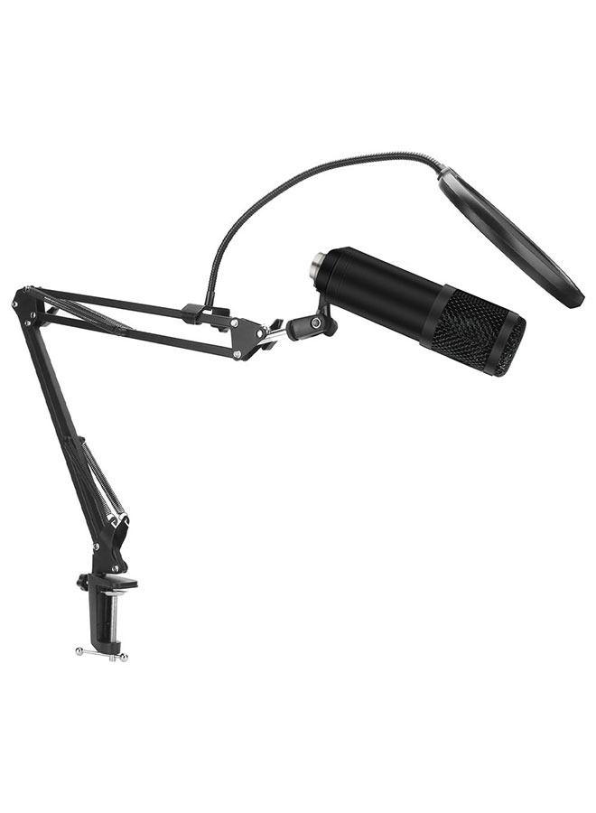 Professional Condenser Microphone With USB