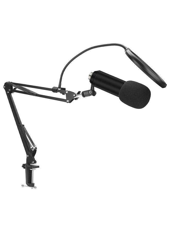 Professional Condenser Microphone With USB