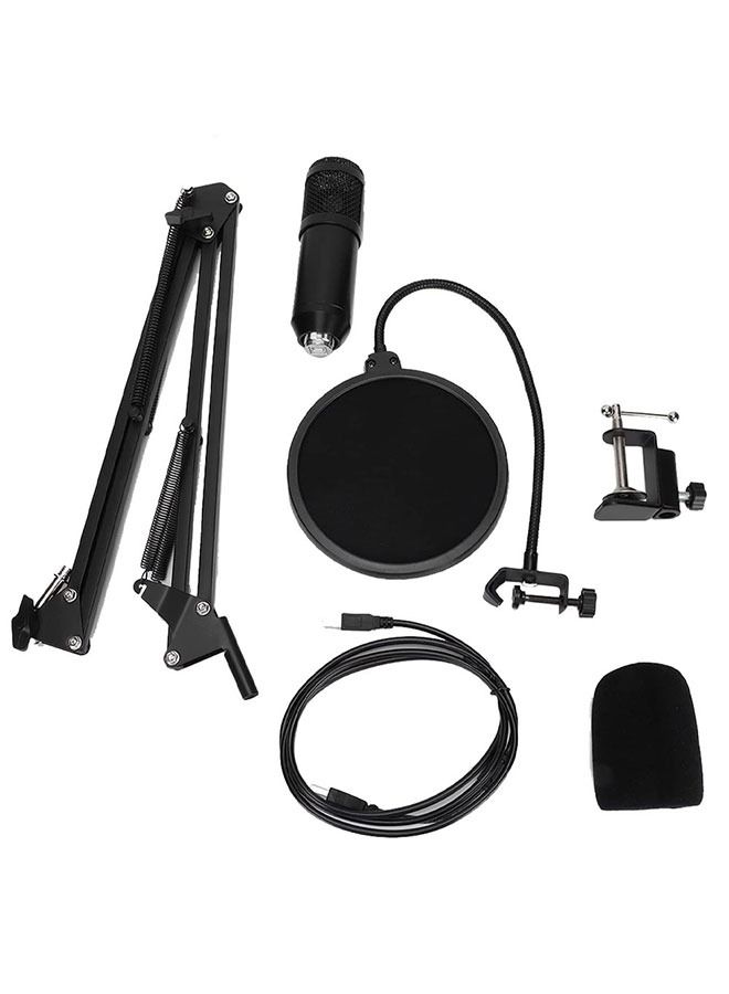 Professional Condenser Microphone With USB