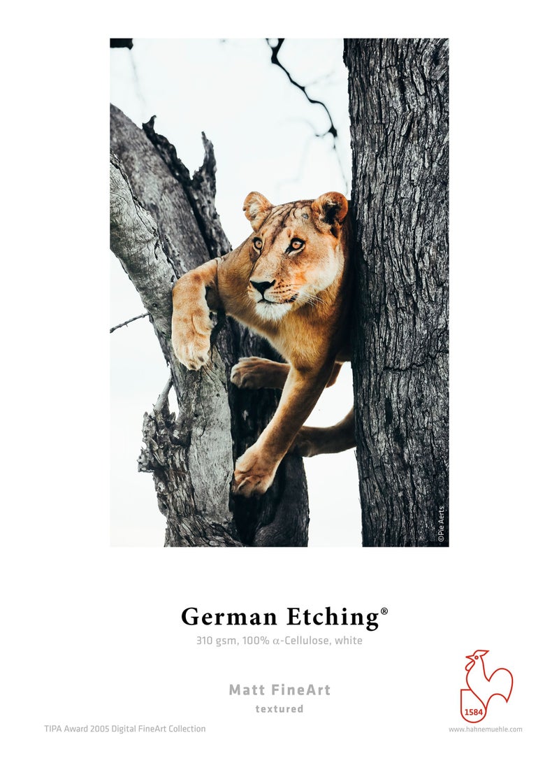 German Etching 310gsm - A3+ - 25 sheets Pack - 48.3x32.9cm