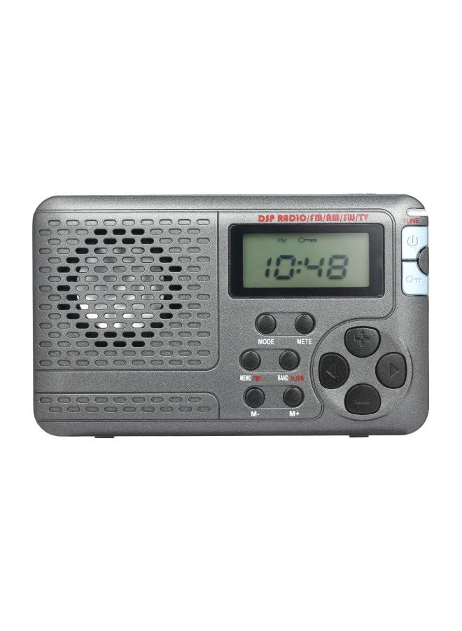 Portable Stereo DSP Radio Receiver V7595 Grey