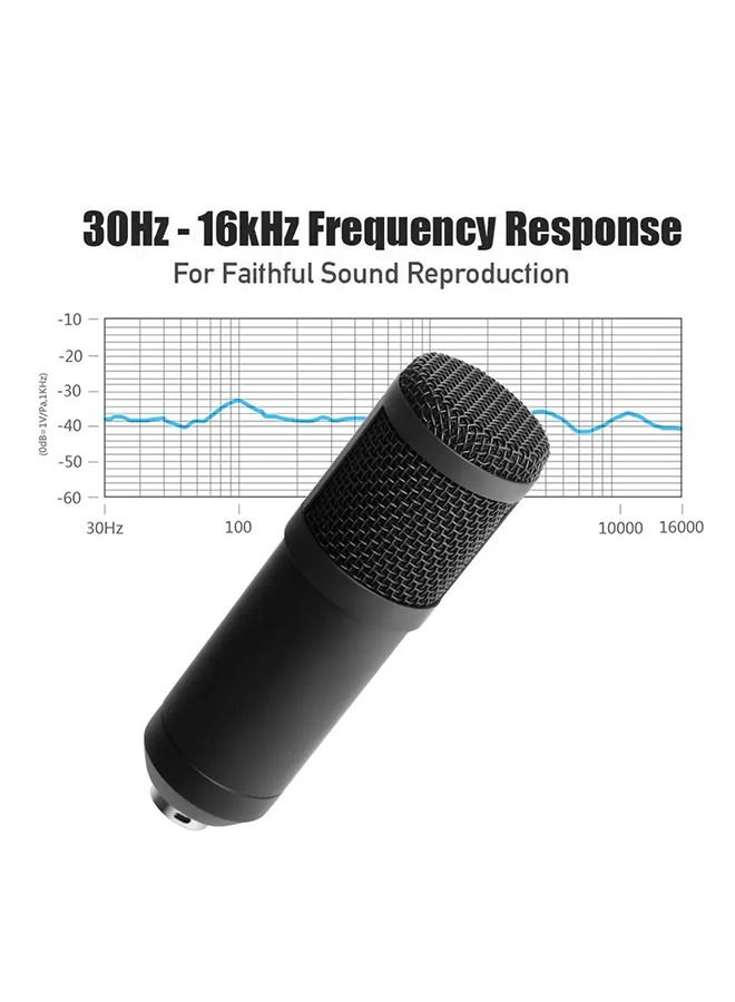 Recording Studio Mic Loud Sound Condenser Microphone