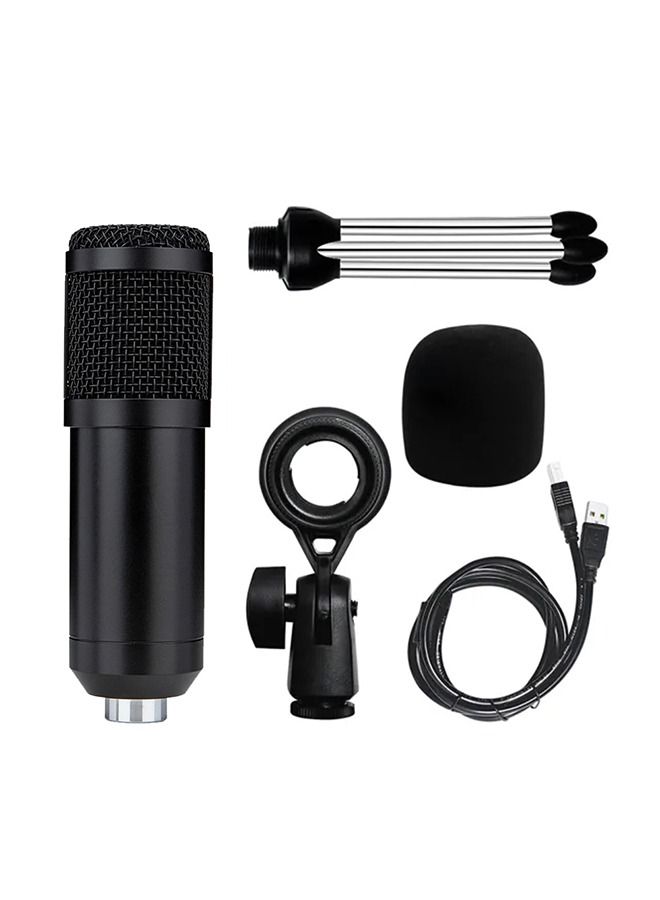 Recording Studio Mic Loud Sound Condenser Microphone