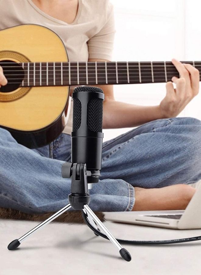 Recording Studio Mic Loud Sound Condenser Microphone