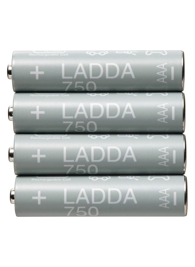 Rechargeable Battery 750mAh