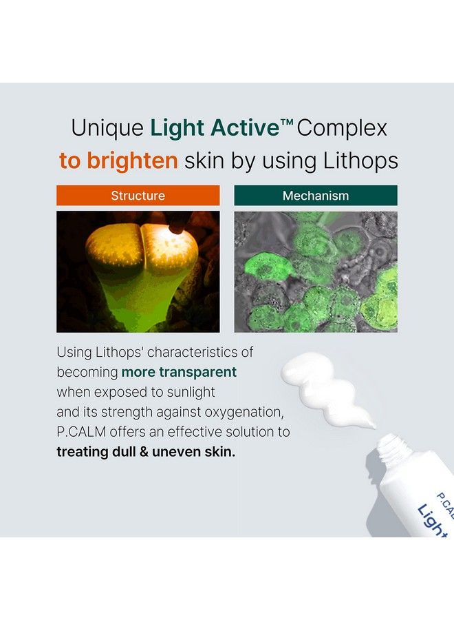 Pcalm Light Active Facial Intense Calming Cream Even Skin Tone No Pore Clogging Blemish Dark Spot Sagging Hyperpigmentation Care Niacinamide Beta Glucan Dehydrated Dry Sensitive Oily Korean Skincare