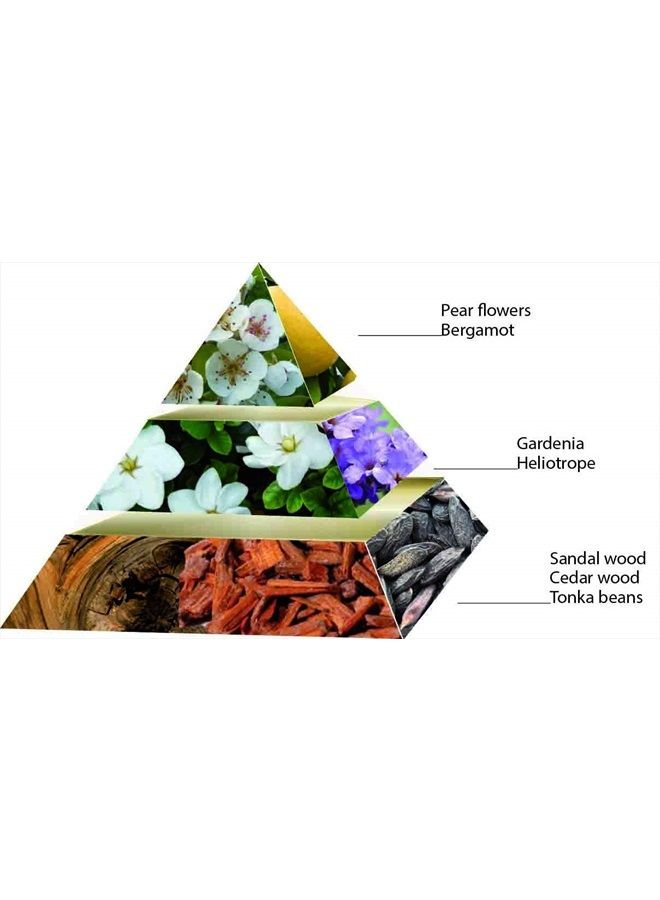 Pure Perle - 3.4 Oz Eau De Parfum - Fragrance Mist For Women - Floral Oriental Scent - Perfume Spray With Pear Blossom, Gardenia, Tonka, Cedar Accords