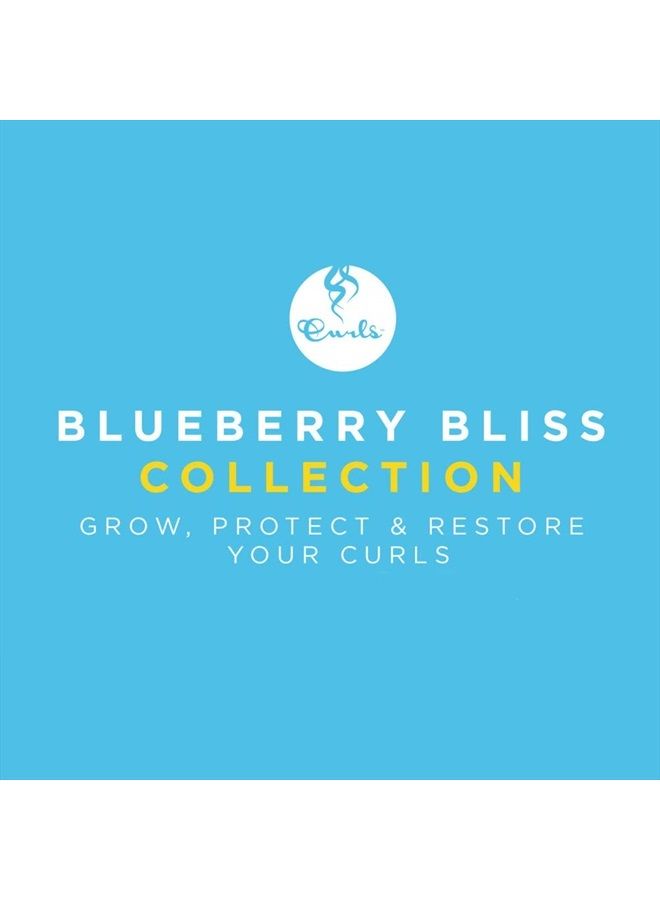 Blueberry Bliss Reparative Leave In Conditioner, 8 Fl Oz (Pack of 2)