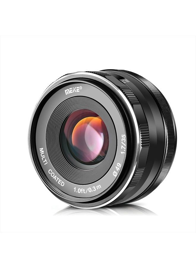 35mm F1.7 Large Aperture Manual Focus Prime Fixed Lens APS-C Compatible with Sony E-Mount Mirrorless Cameras NEX 3 3N NEX 5R NEX 6 7 A6600 A6400 A5000 A5100 A6000 A6100 A6300 A6500 A3000