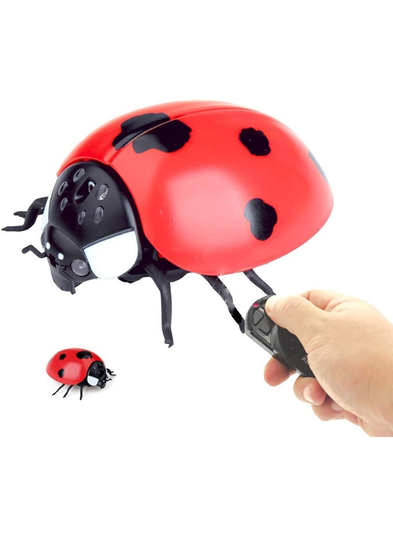 Fitto Remote Control Wall Climbing Lady Bug Toy - Life Like with Movement, Sound and Light, Red