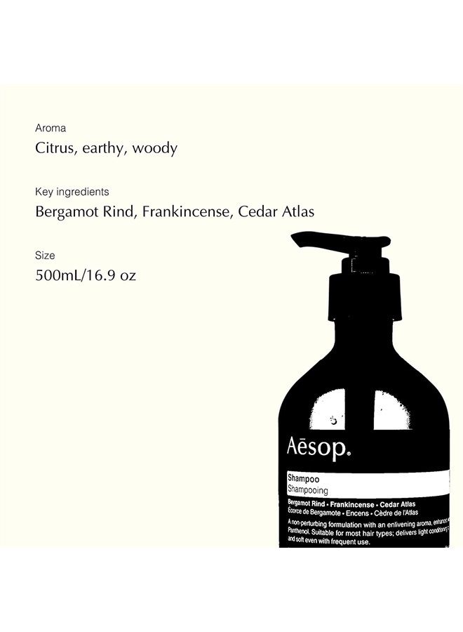 Shampoo | 500mL/16.9 oz | Paraben, Cruelty-free & Vegan Shampoo For Dry Scalp Treatment