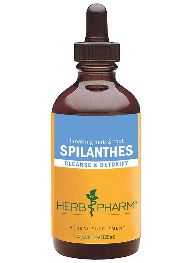 Certified Organic Spilanthes Liquid Extract for Cleansing and Detoxification - 4 Ounce