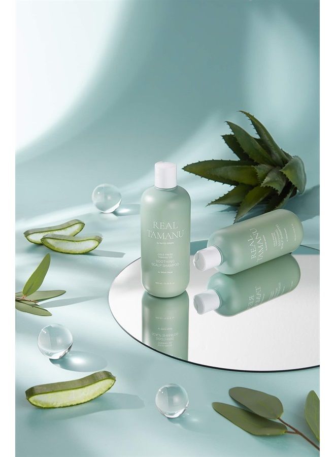 Tamanu Oil Soothing Scalp Shampoo for Sensitive and Troubled Scalp - 13.52 fl. Oz. - Women & Men