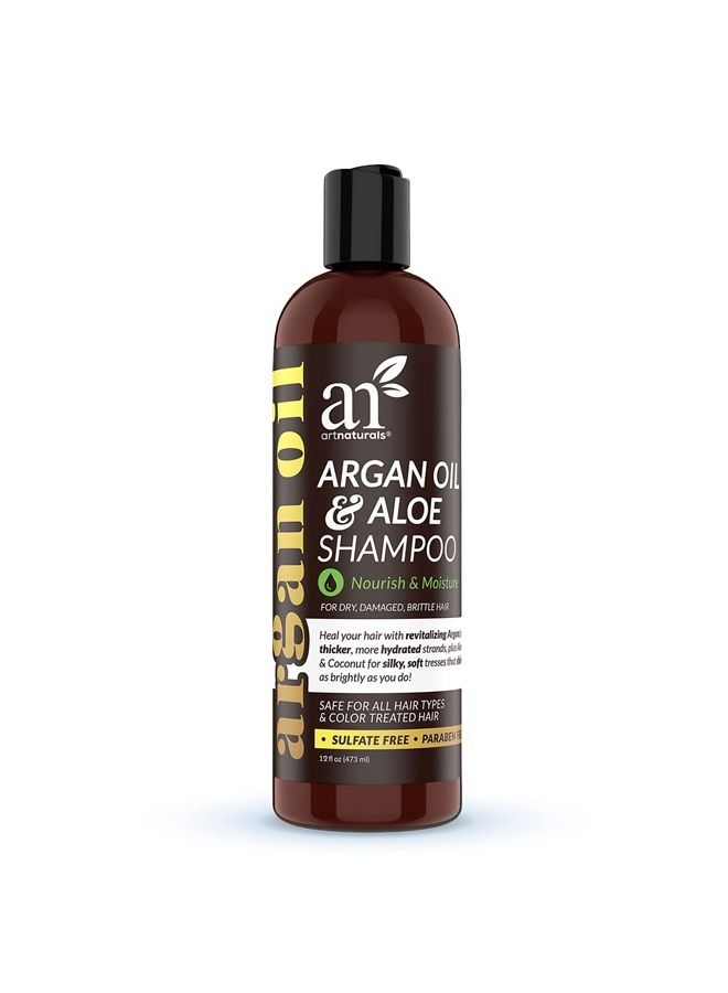 Moroccan Argan Oil Shampoo - (12 Fl Oz / 355ml) - Moisturizing, Volumizing Sulfate Free Shampoo for Women, Men and Teens - Used for Colored and All Hair Types, Anti-Aging Hair Care