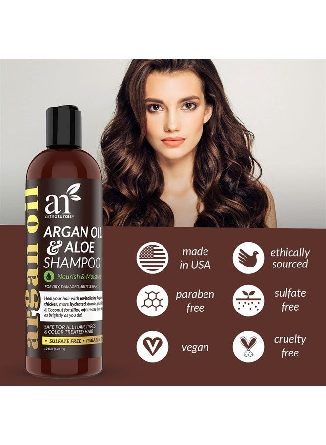 Moroccan Argan Oil Shampoo - (12 Fl Oz / 355ml) - Moisturizing, Volumizing Sulfate Free Shampoo for Women, Men and Teens - Used for Colored and All Hair Types, Anti-Aging Hair Care