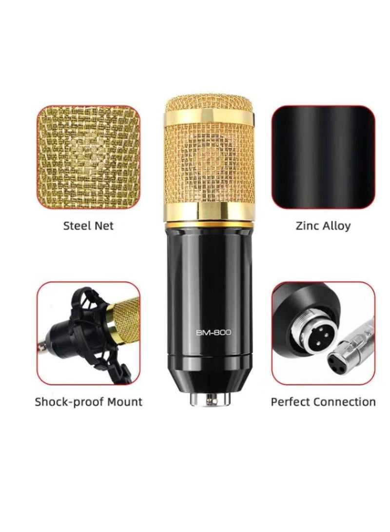 Mike Music Multifunctional Live V9 Sound Card and BM800 Suspension Microphone Kit Broadcasting Condenser Microphone Set Intelligent Webcast Live Sound Card for Computers and Mobilephone (v9, Black)