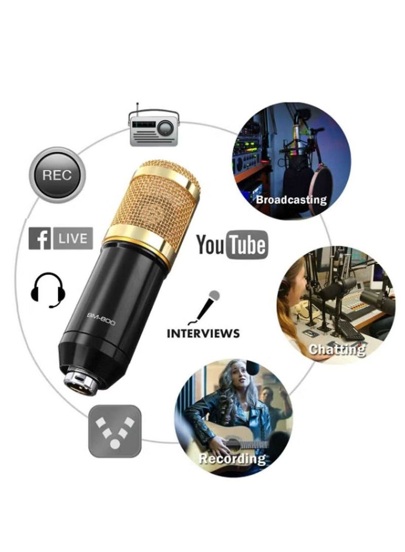 Mike Music Multifunctional Live V9 Sound Card and BM800 Suspension Microphone Kit Broadcasting Condenser Microphone Set Intelligent Webcast Live Sound Card for Computers and Mobilephone (v9, Black)