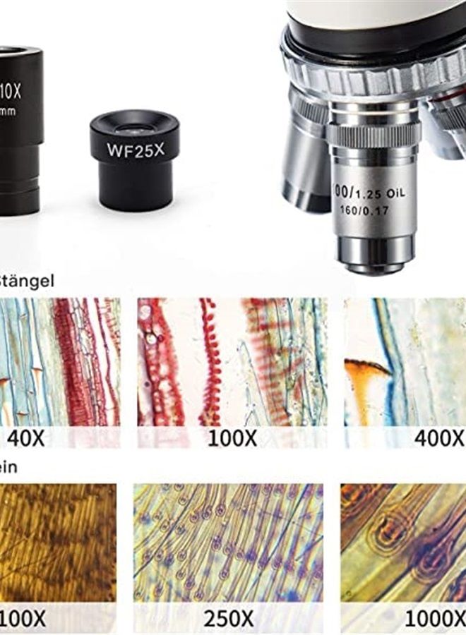 Swift SW350B 40X-2500X Magnification, Siedentopf Binocular Head, Research-Grade Compound Lab Microscope with Wide-Field 10X and 25X Eyepieces, Mechanical Stage, Abbe Condenser (SW350B)