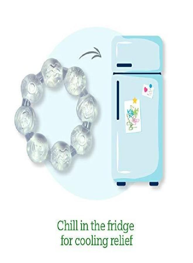 green sprouts Cooling Teether (2pk) | Soothes Gums & Promotes Healthy Oral Development | Safer Plastic Filled with sterilized Water, Chill for Extra Relief, Textured Surface to Massage Gums