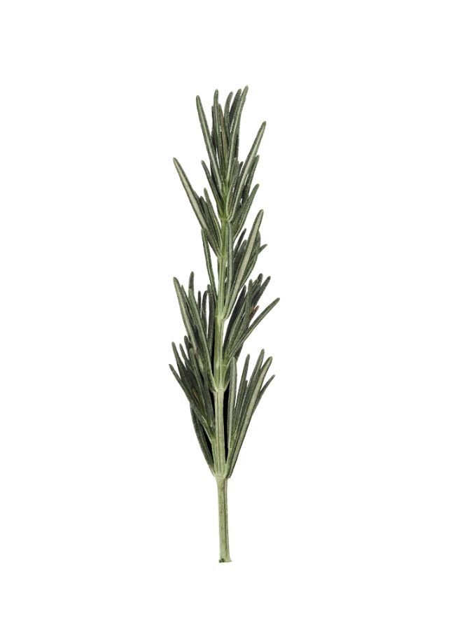 Rosemary 3-in-1 Hair Treatment For Hair Fall