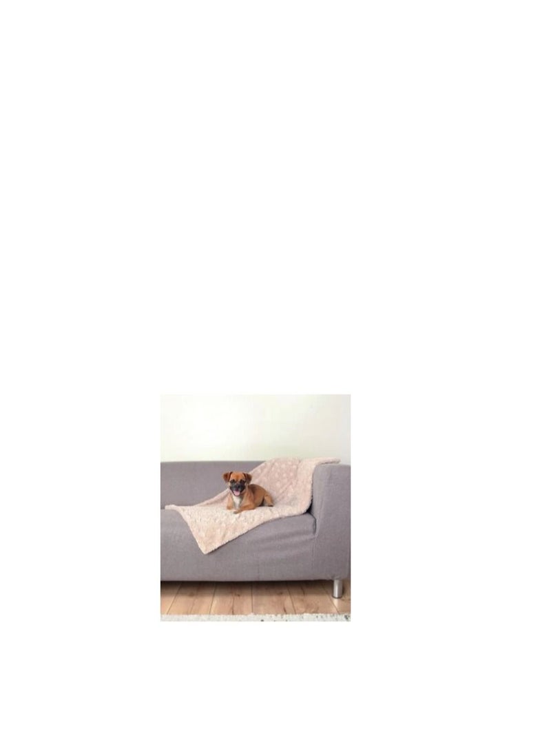 Trixie Cosy Beige Blanket For Dogs