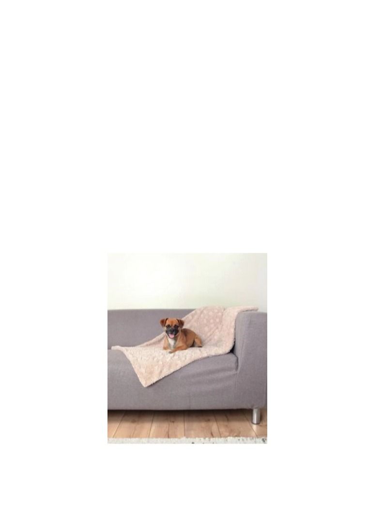 Trixie Cosy Beige Blanket For Dogs