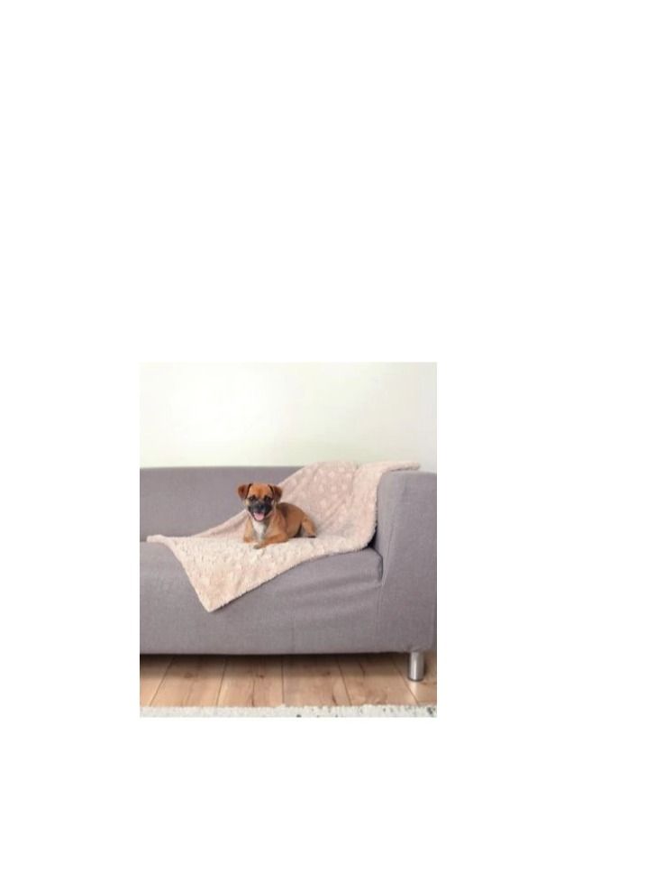 Trixie Cosy Beige Blanket For Dogs