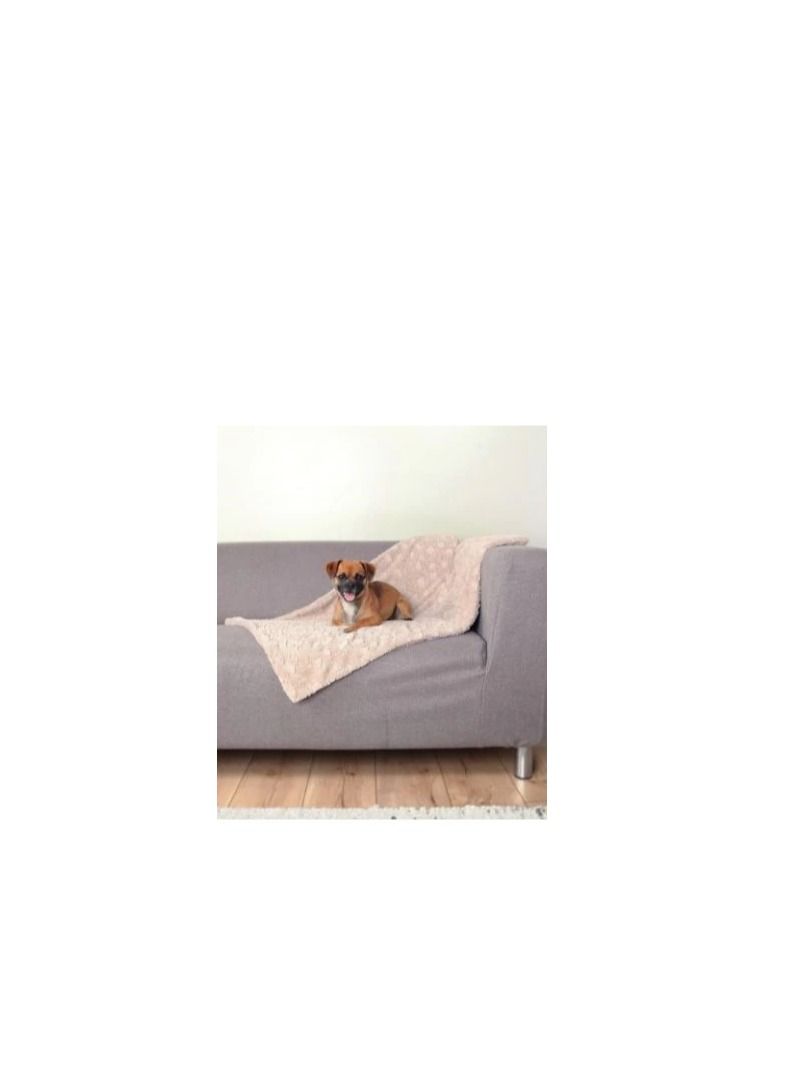 Trixie Cosy Beige Blanket For Dogs