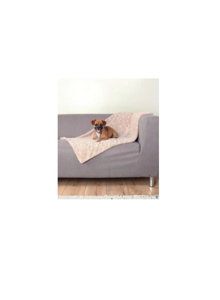 Trixie Cosy Beige Blanket For Dogs
