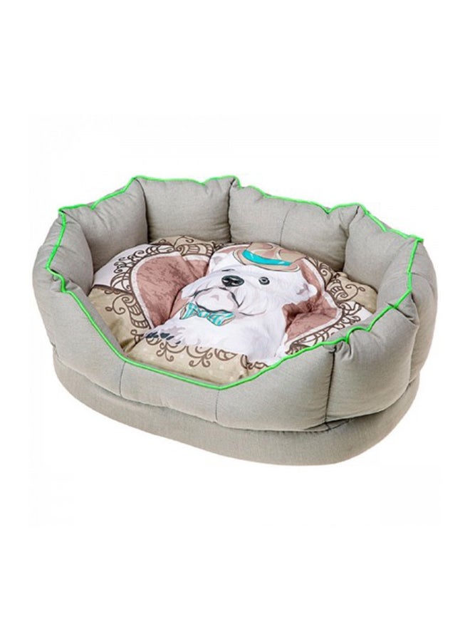 Lady Dog Bed Multicolour