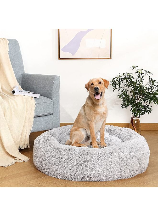 Neostyle Machine Washable Bed for Indoor Pets Light Grey