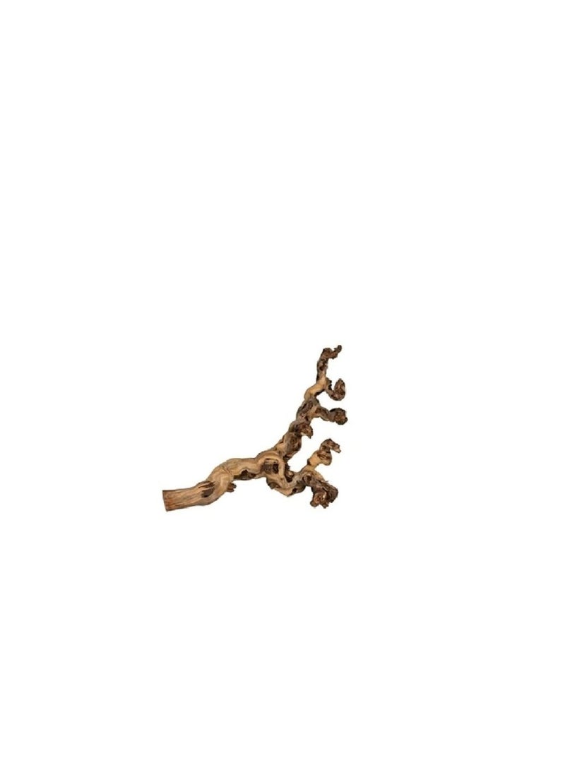 Trixie Grape Vine Sand-Blasted Bird Cage Accessory