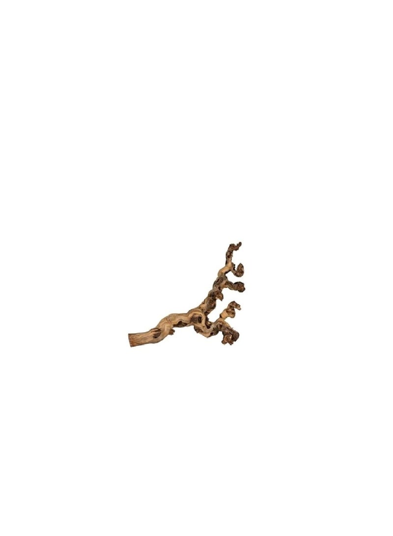 Trixie Grape Vine Sand-Blasted Bird Cage Accessory
